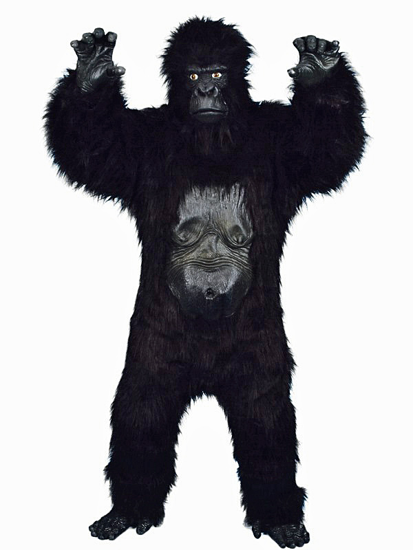 Gorilla